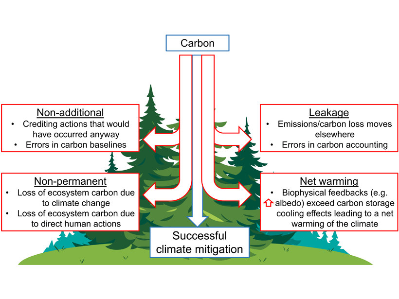 Permanence of Nature-Based Climate Solutions at Risk - Eos