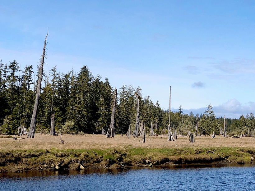 Swipe Left on the “Big One”: Better Dates for Cascadia Quakes - Eos