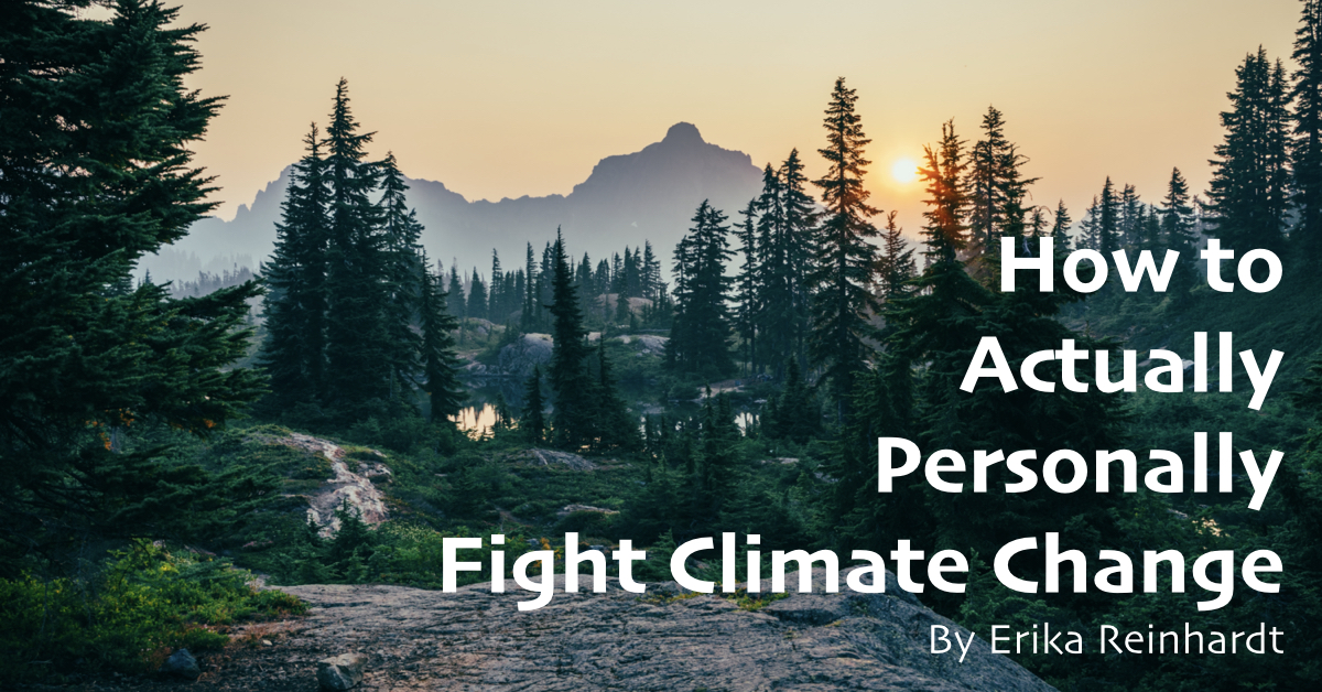 A Data-Driven Guide to Effective Personal Climate Action – Erika Reinhardt