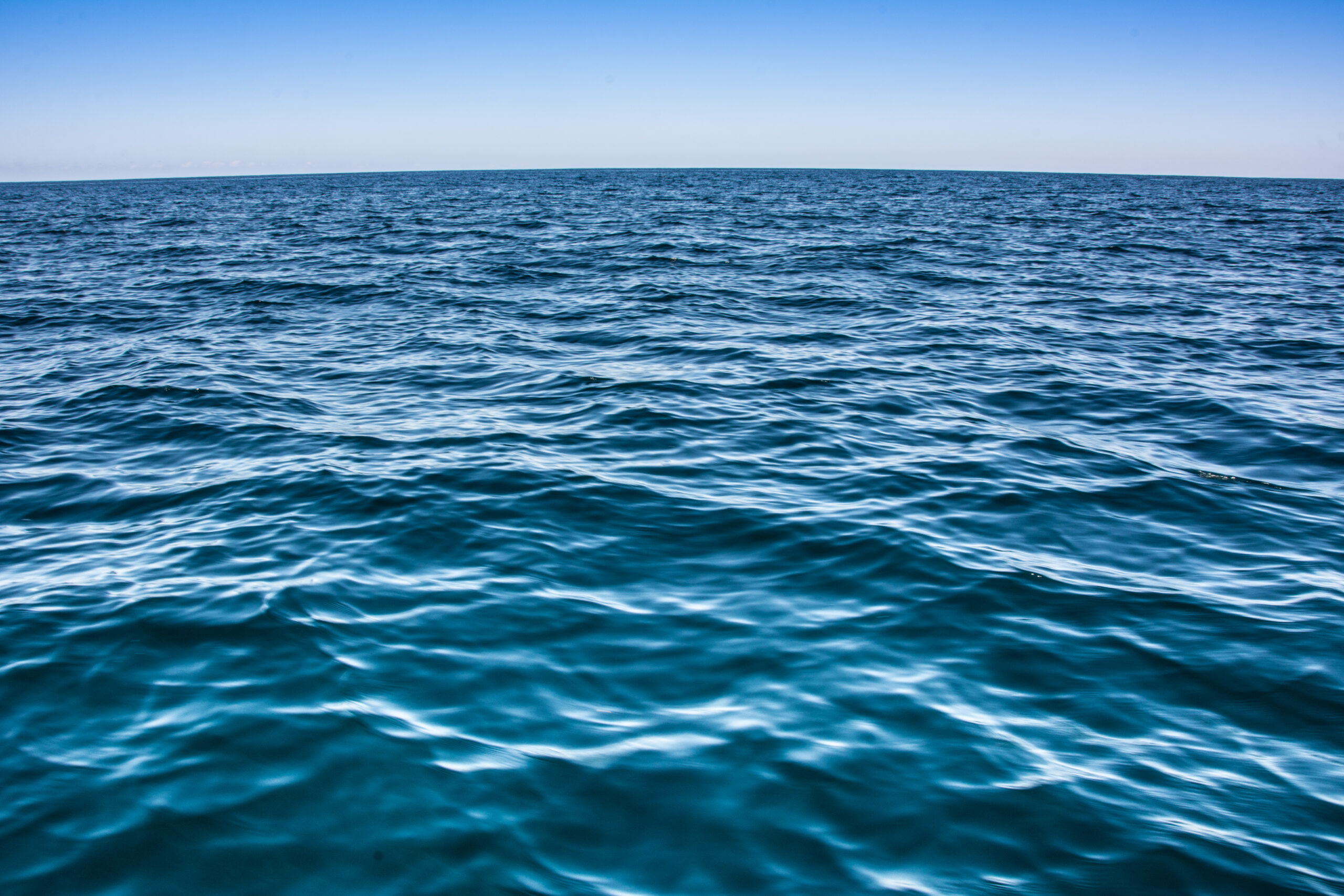 Introducing the First Ocean Carbonate Chemistry Products Hub - ESSIC