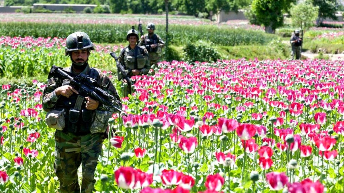 The history of the CIA as a regulatory body for drug trafficking