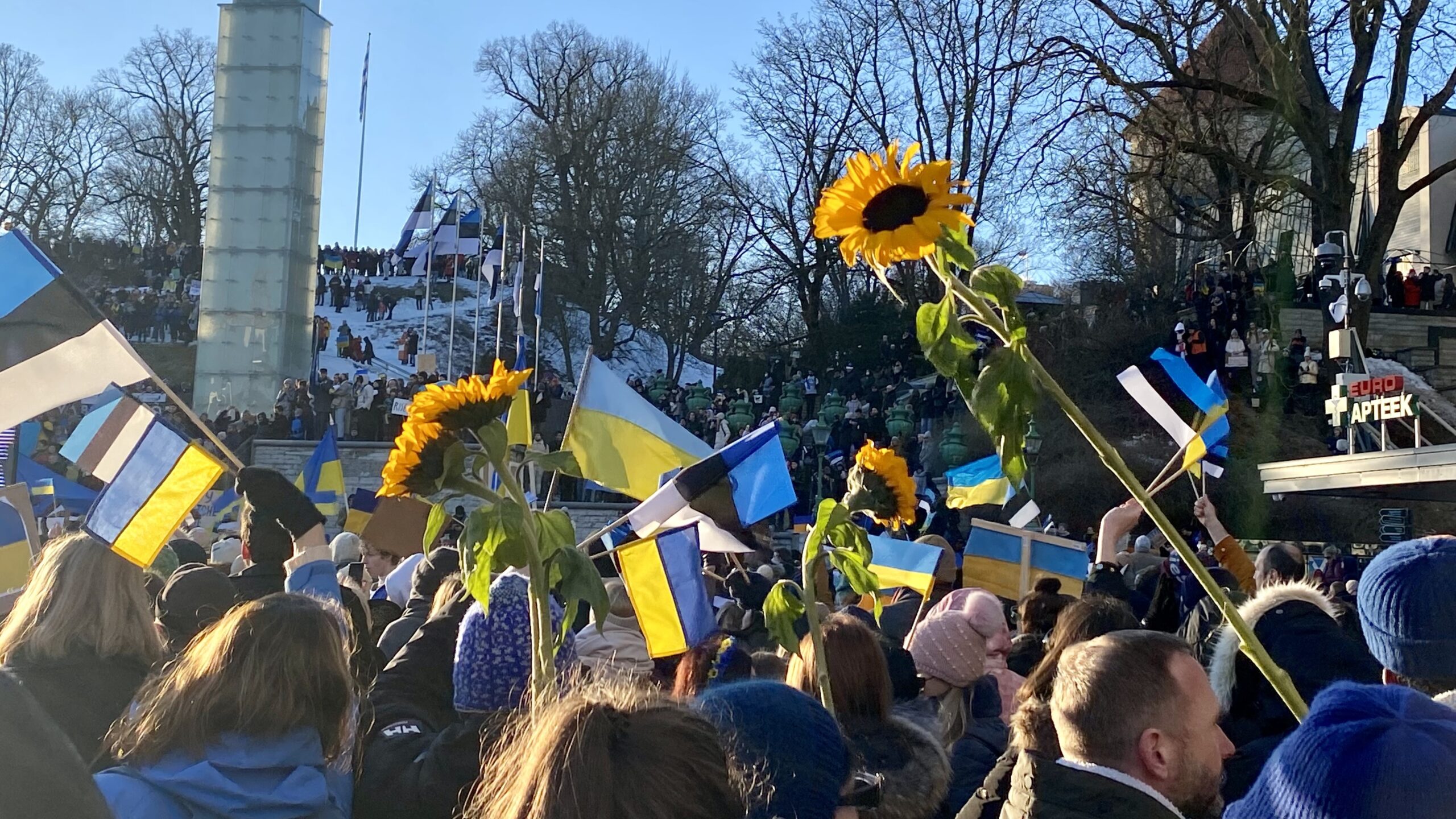 Updates: Russia's war against Ukraine – Estonian perspective
