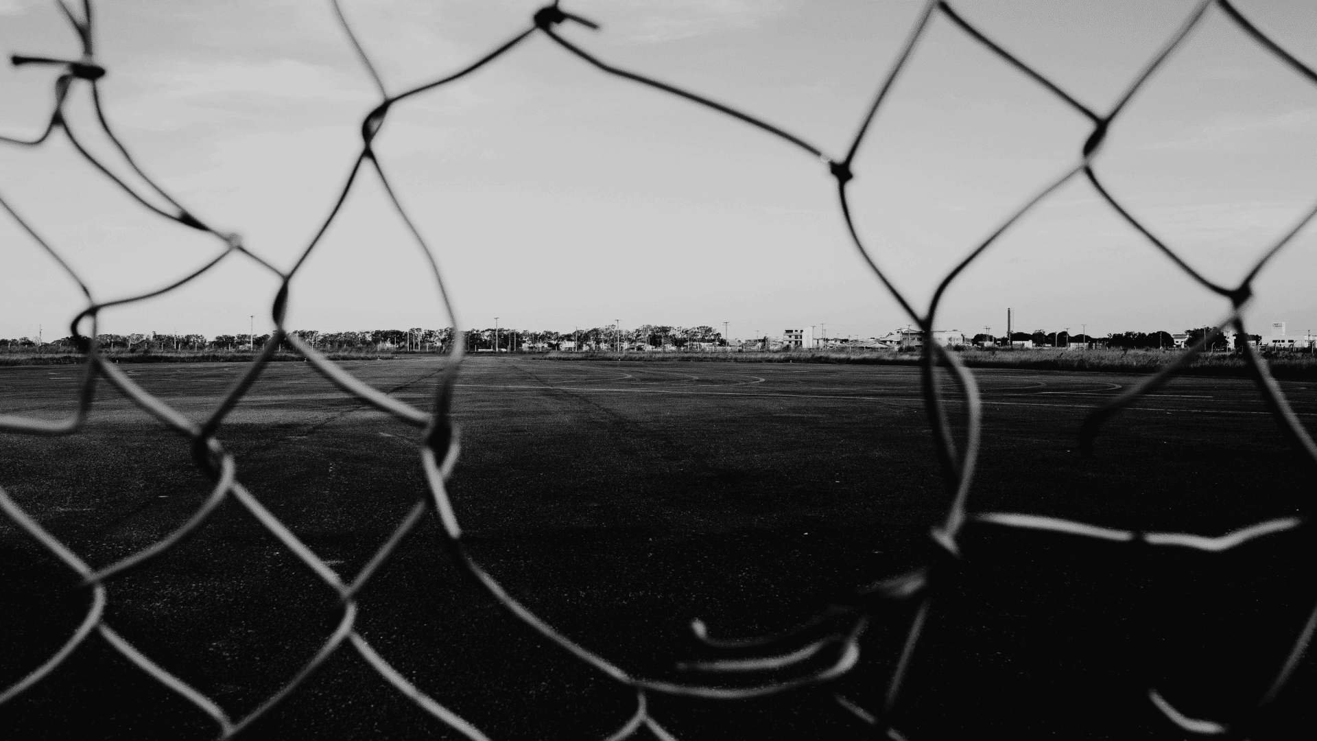 Martina.popova@eui.eu User cover