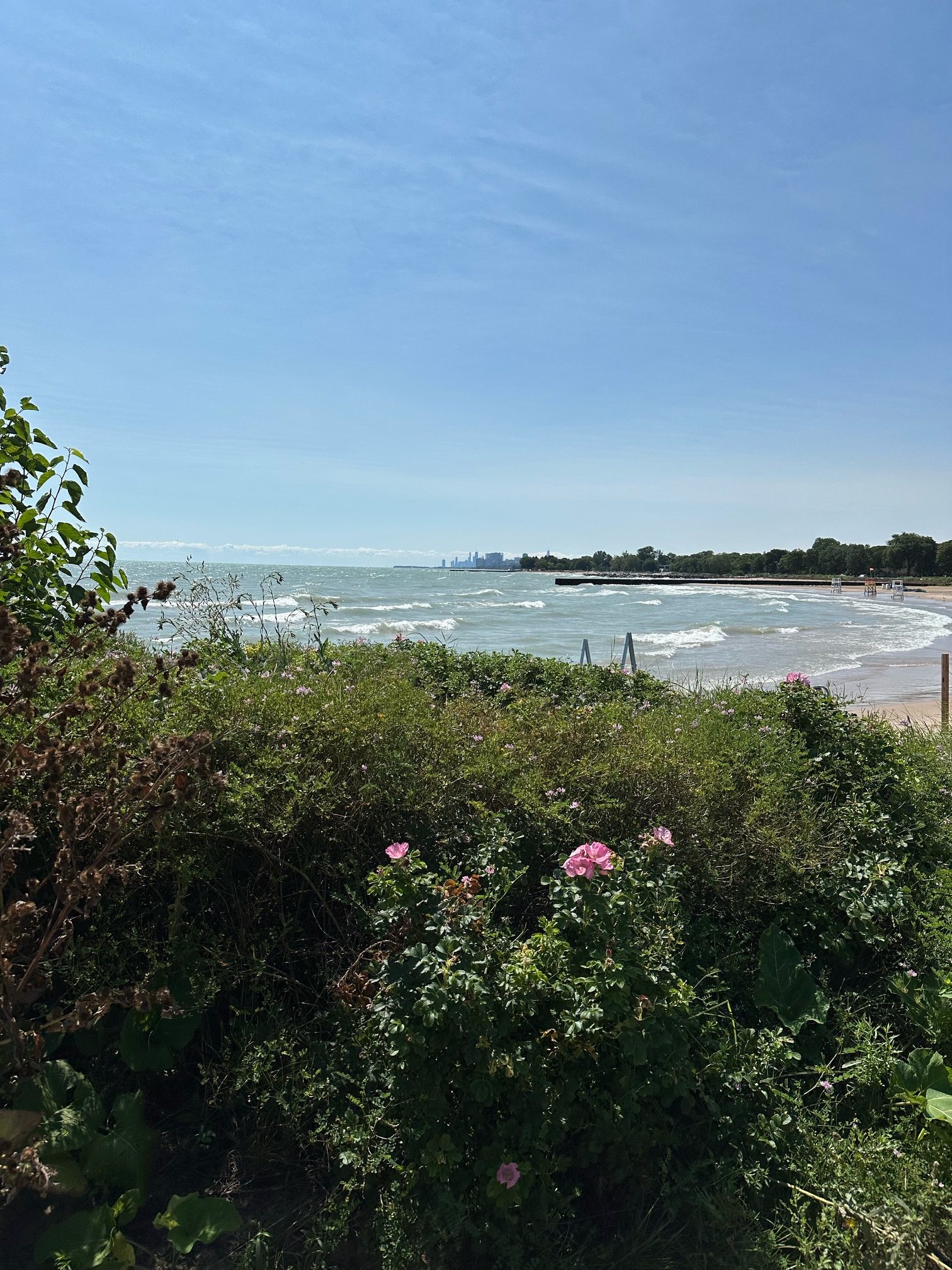 Environment Board debates lakefront public property sale requirements - Evanston RoundTable