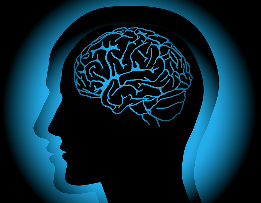 Yes, We Should Believe Survivors: A Primer on the Neurobiology of Trauma - Everyday Feminism