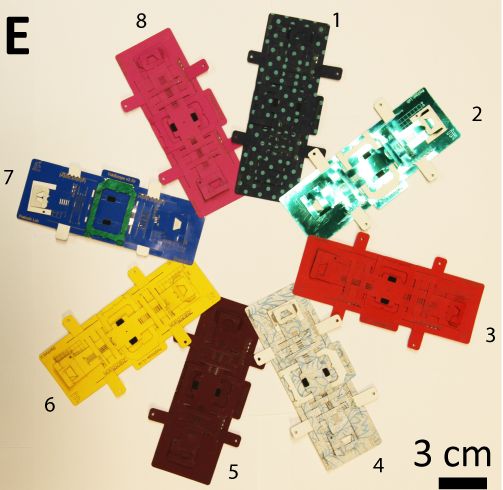 At Year’s End: Staff Editors’ Favorite PLOS ONE Articles of 2014 - EveryONE