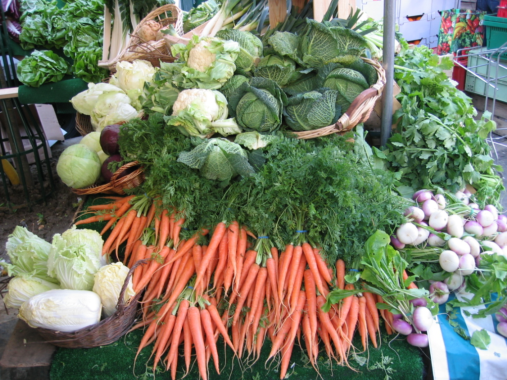 World Food Day 2023 - Recent research at PLOS ONE - EveryONE
