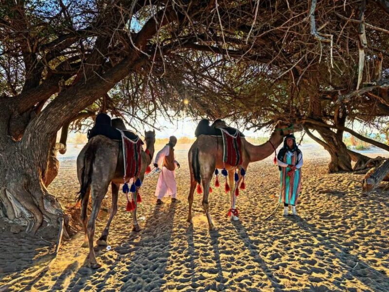 Alice Morrison Walks the Length of Saudi Arabia » Explorersweb