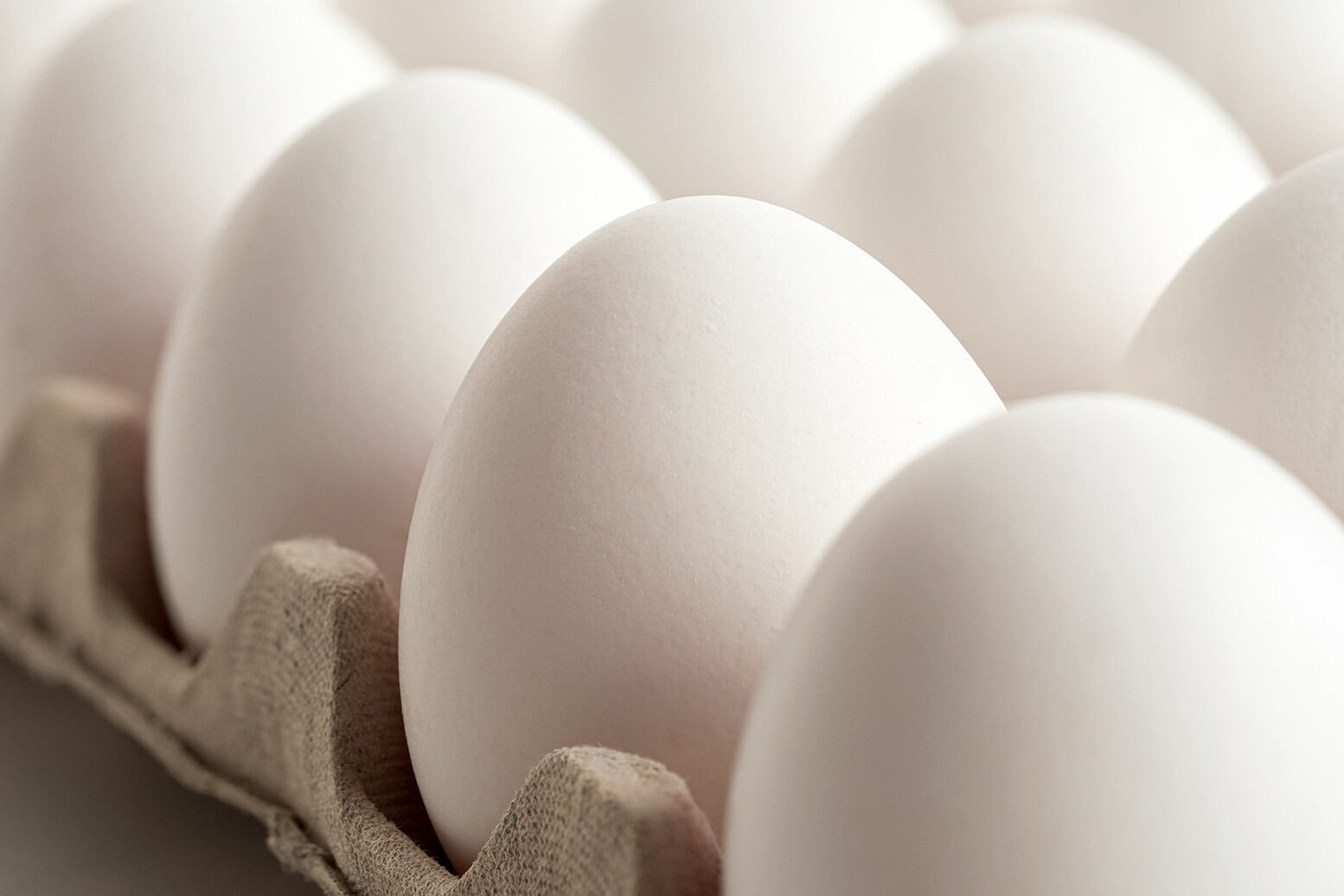 Farm Action Calls for FTC to Investigate Record-High Egg Prices | Farm Action