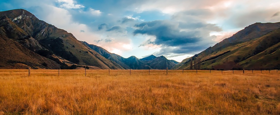 Cruelty-Free Consumption In New Zealand - Faunalytics