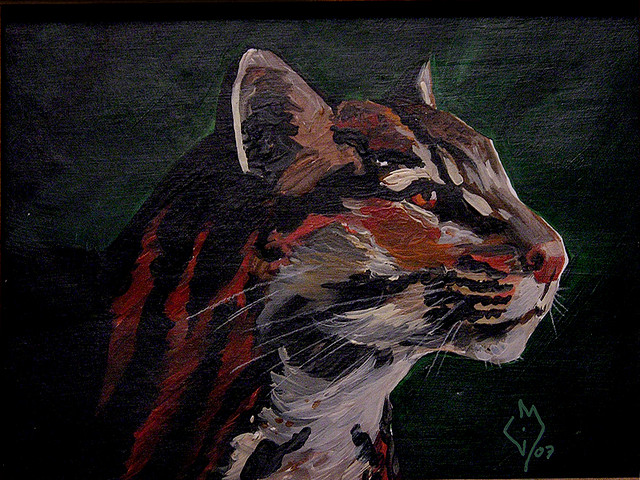 Wild Animal Suffering: An Overlooked Problem? - Faunalytics