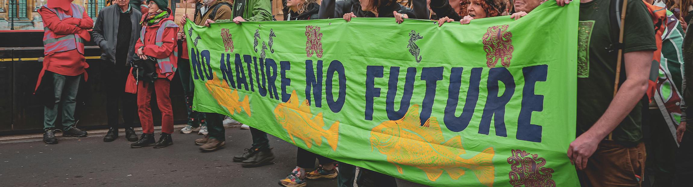 Joining Forces: Collaborative Opportunities Between The Animal Protection And Environmental Movements - Faunalytics