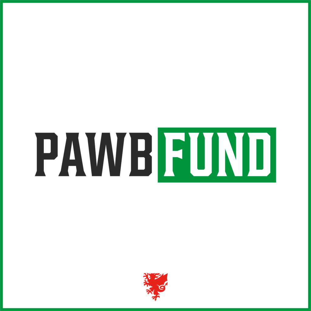 FAW PAWB Fund awards over £20,000 during 2024/25 season - PAWB Cymru