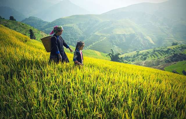 Can Local Solutions Succeed Where Foreign Aid Has Failed?