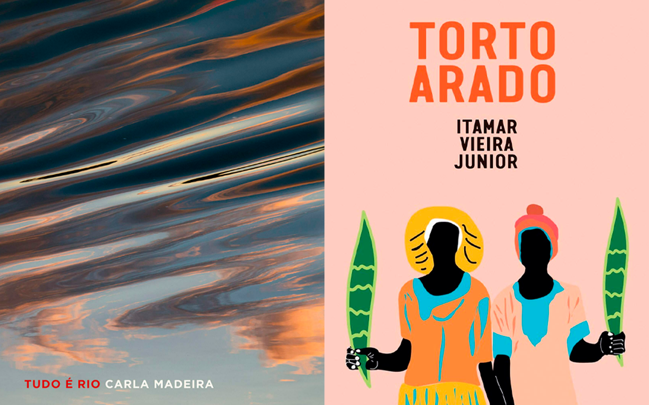 Harry Potter brasileiro: 7 livros nacionais para ler agora - Tangerina