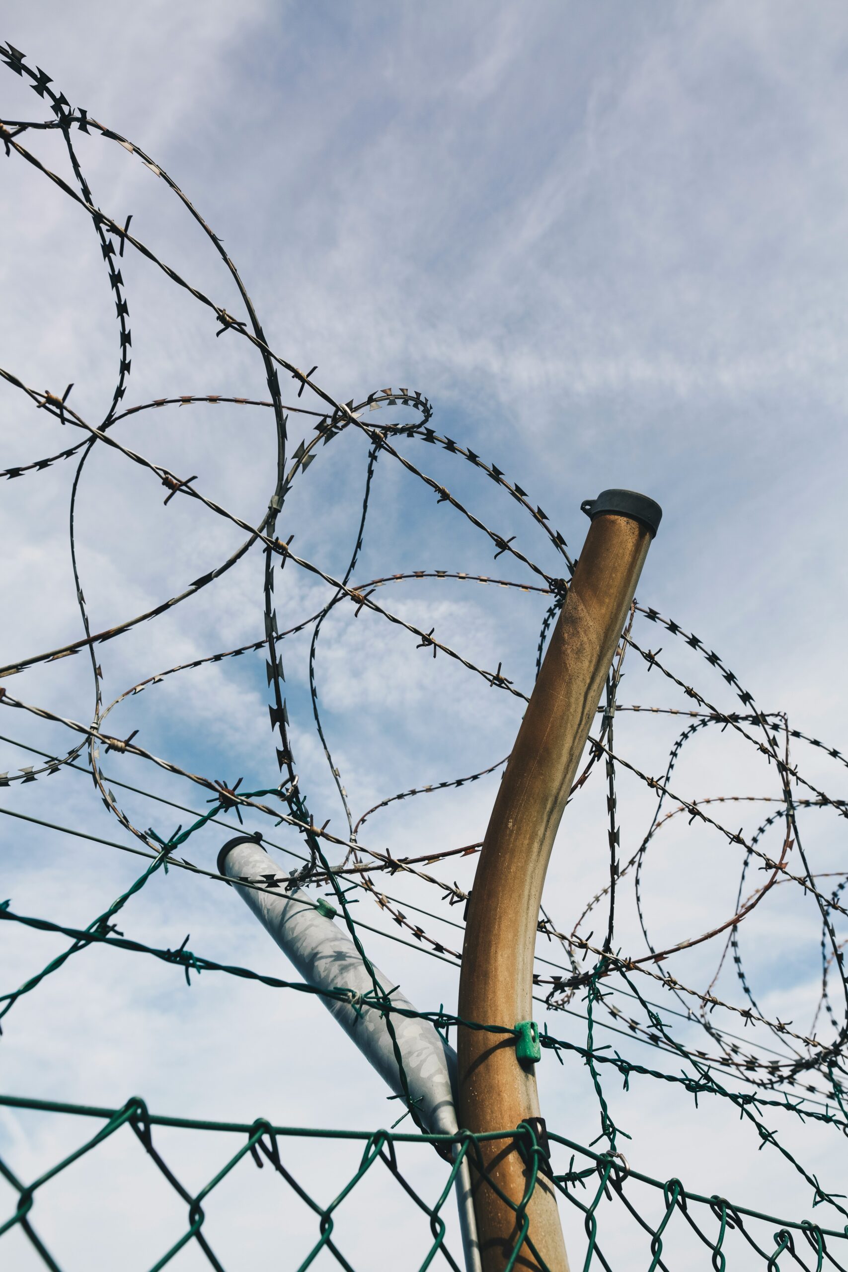 Mexico's Response to Mass Deportations: 'Mexico Embraces You' - Feminist Majority Foundation