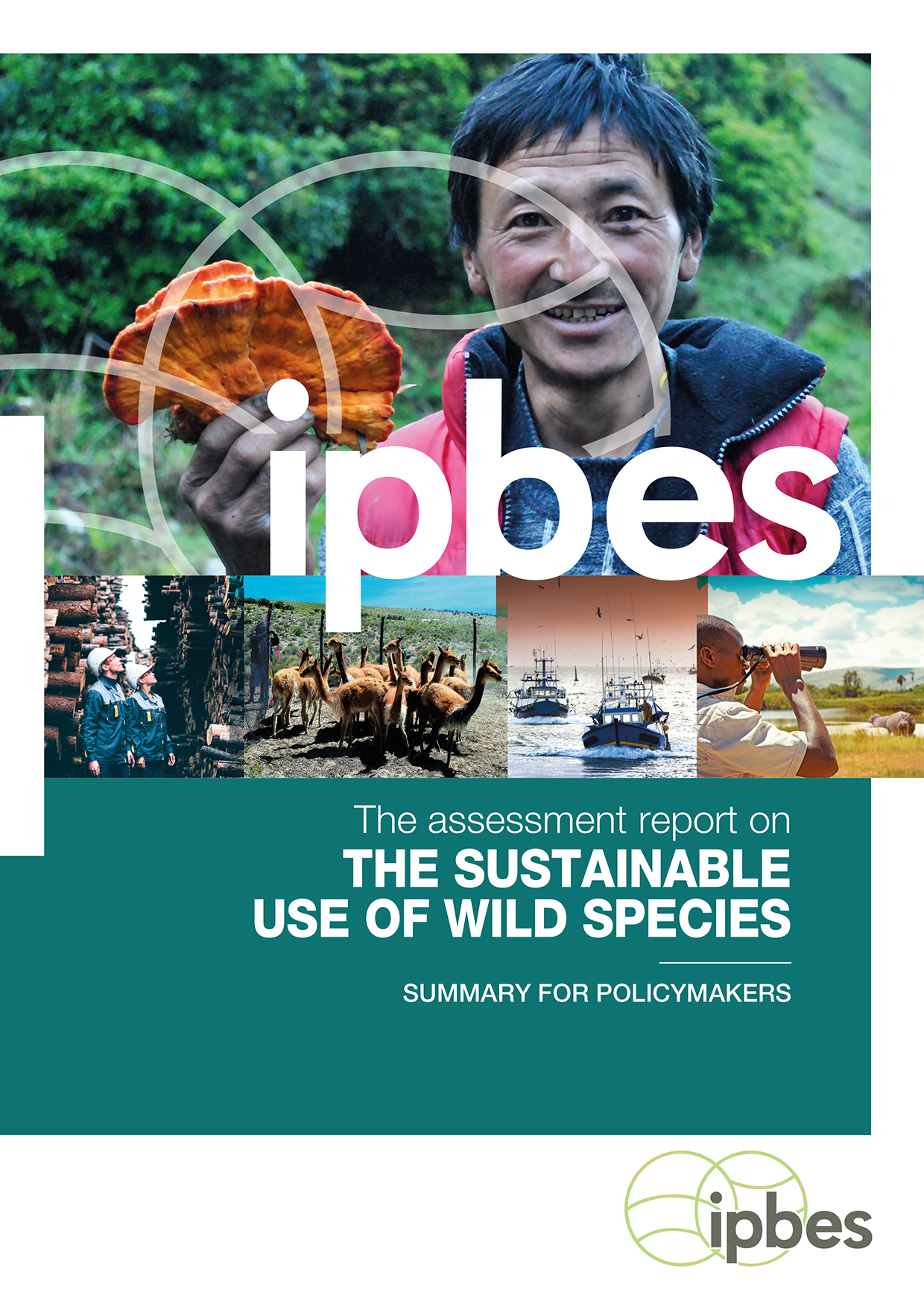 Assessment Report on the Sustainable Use of Wild Species | IPBES secretariat