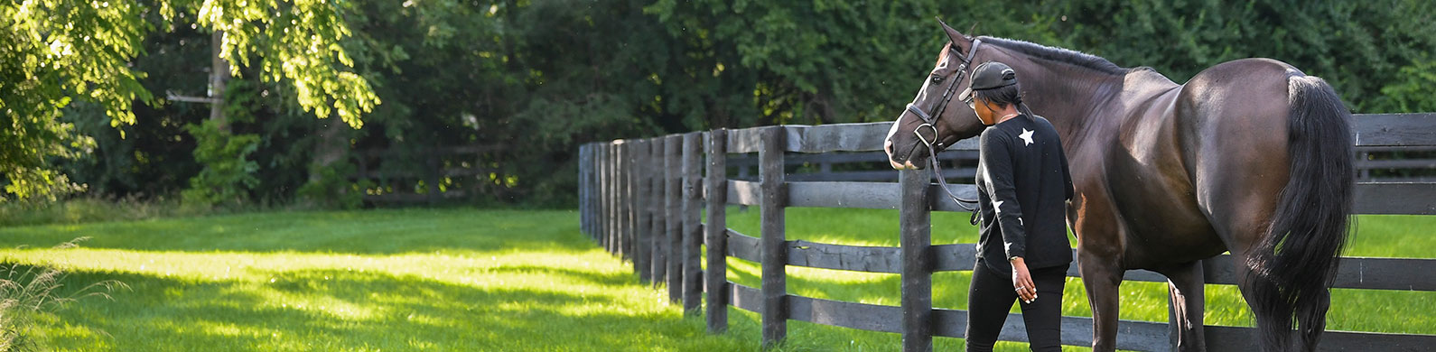 Standings Search | US Equestrian