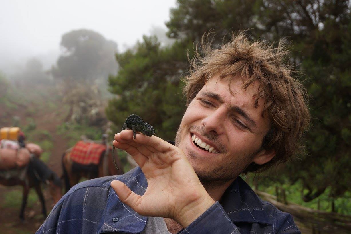How Psychedelic Drugs Could Help Save the Planet