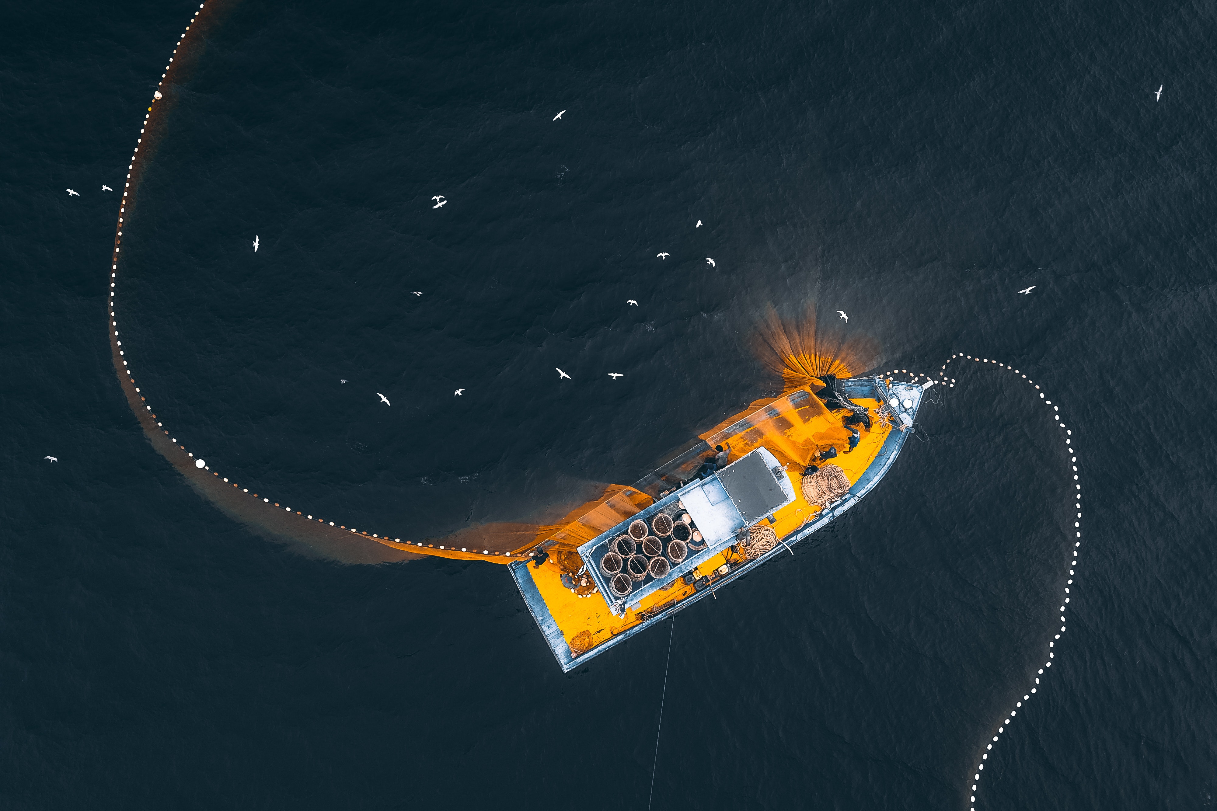 Half of industrial IUU fishing vessels operate in Africa, majority Chinese and European – new report - Financial Transparency Coalition