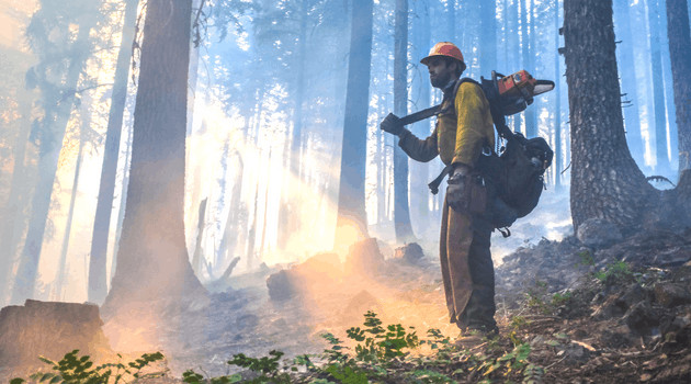 Wildfire Funding in the Omnibus Bill: What You Need to Know