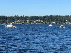 Boating Safety Tips - Fire Line