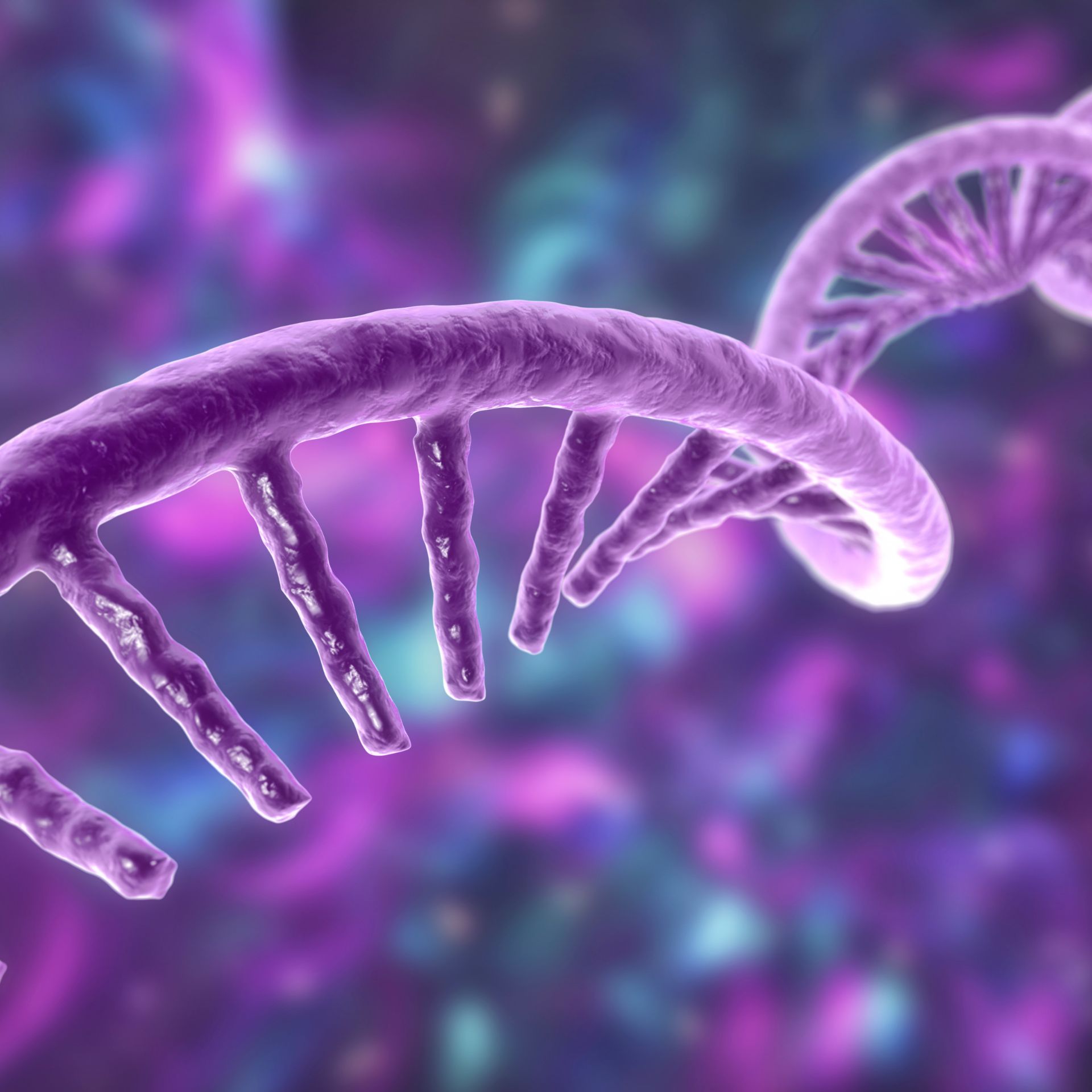COVID-19 causes changes in sperm that lead to increased anxiety in offspring | The Florey