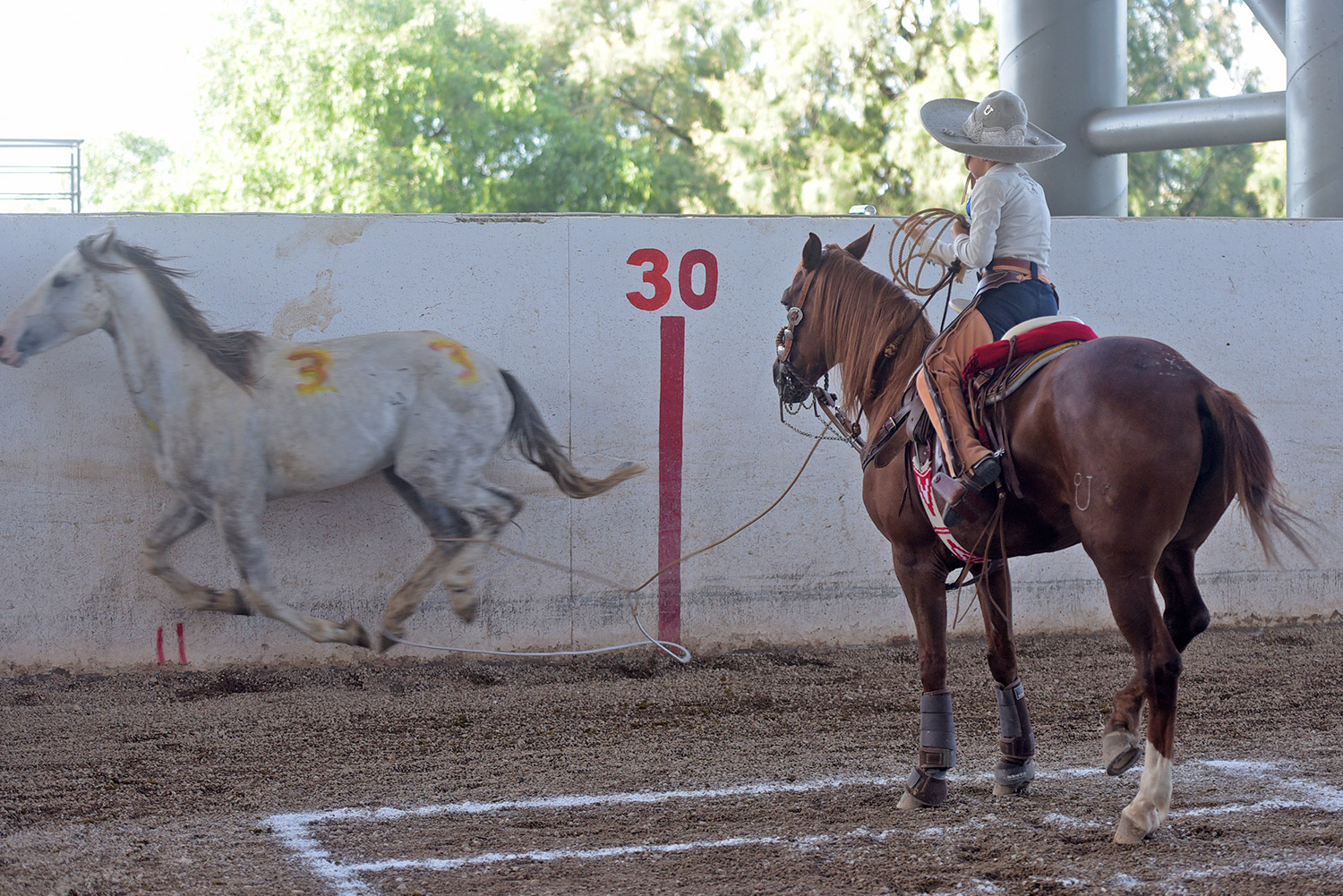 Resultados finales del XXXI Campeonato Nacional Charro Infantil, Juvenil y de Escaramuzas Aguascalientes 2024 • Federación Mexicana de Charrería