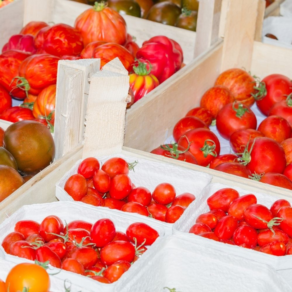 Plum Tomatoes VS Roma Tomatoes: Are They The Same? - Foodiosity