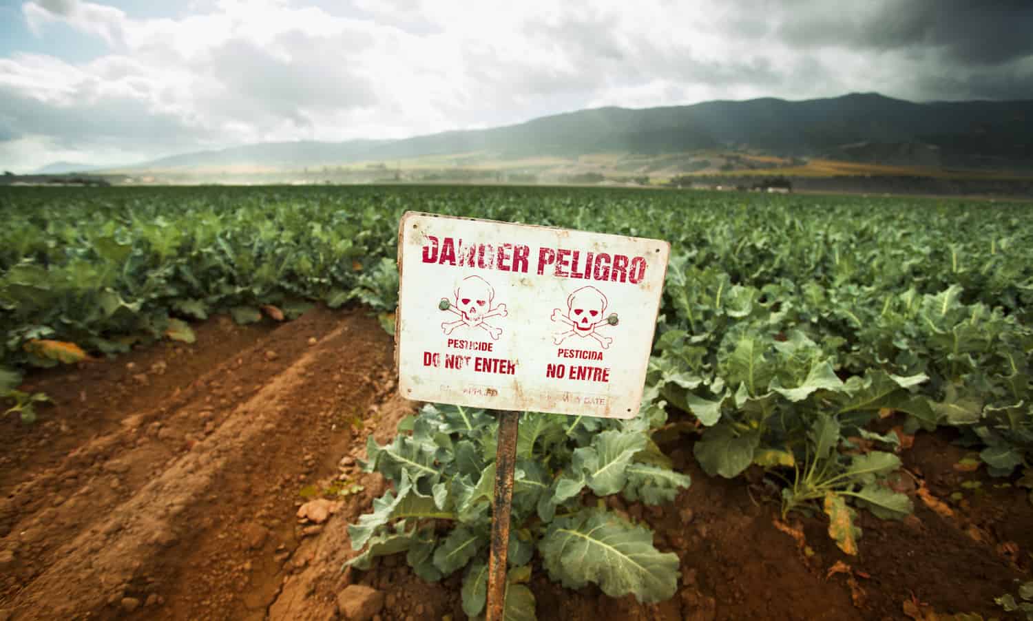 United Nations Report Rejects Pesticide Myth – Food Tank