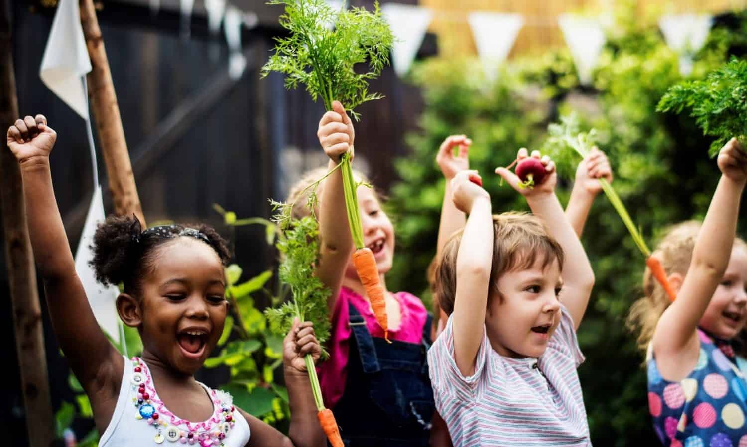 19 Farm-to-School Initiatives Making an Impact – Food Tank