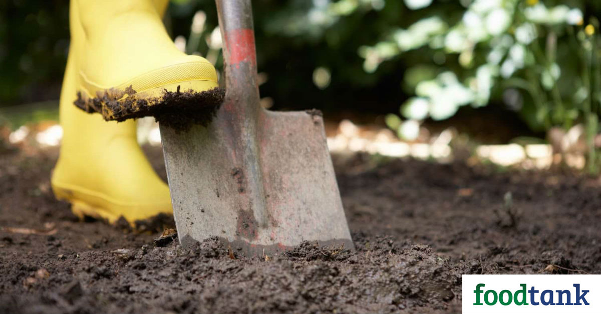 The Terraton Initiative: Working to Remove a Trillion Tons of Carbon – Food Tank