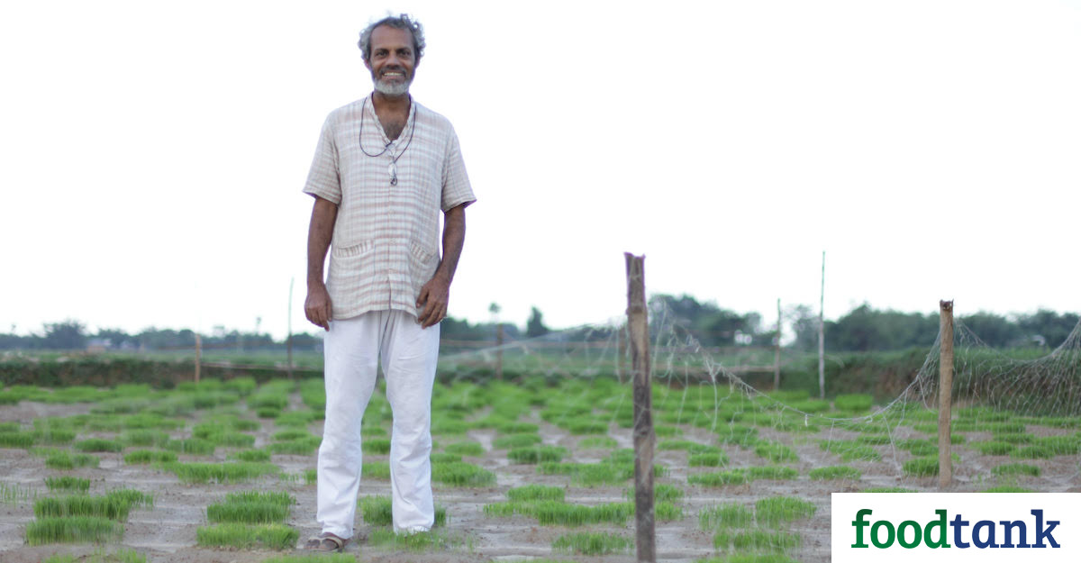 India’s ‘Seed Warrior’ Builds Living Seed Banks to Preserve Agricultural Diversity – Food Tank