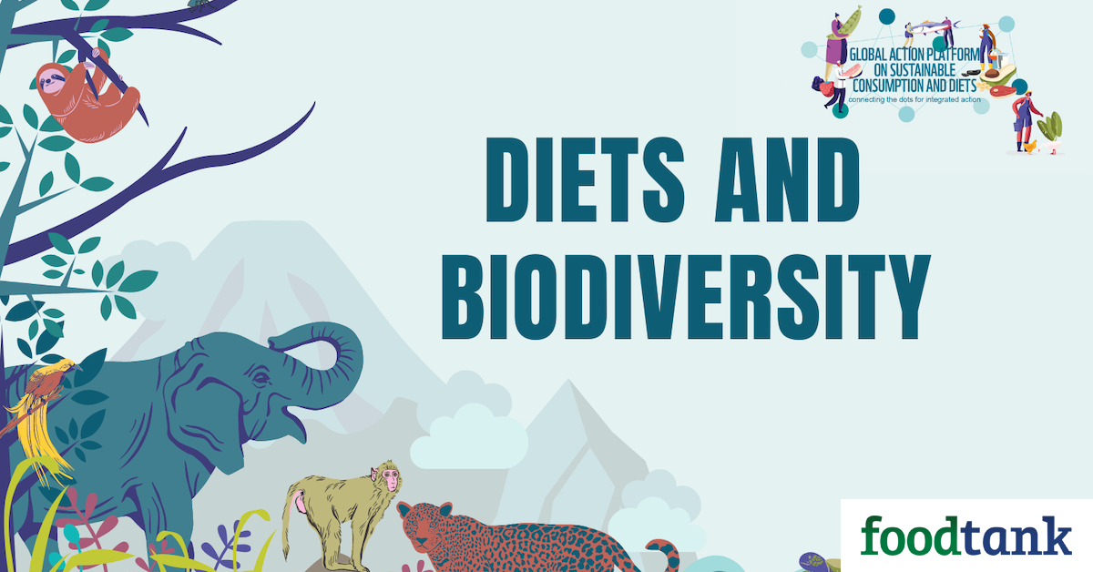 Why Are Diets and Biodiversity Linked? – Food Tank