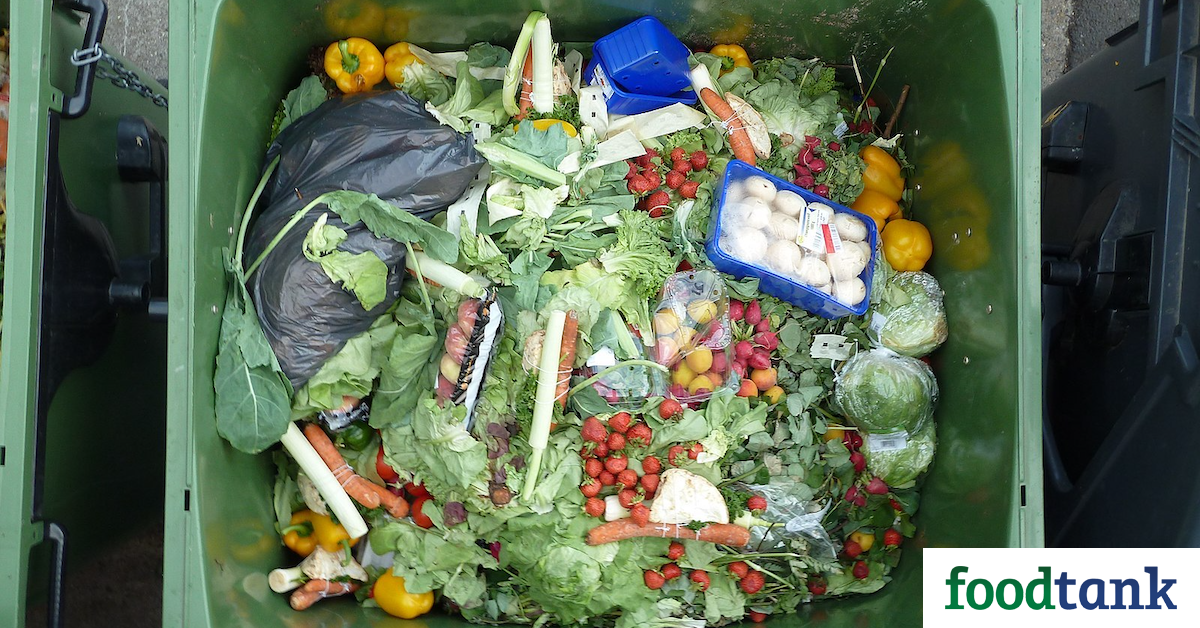 12 Apps Preventing Household Food Waste and Protecting the Planet – Food Tank