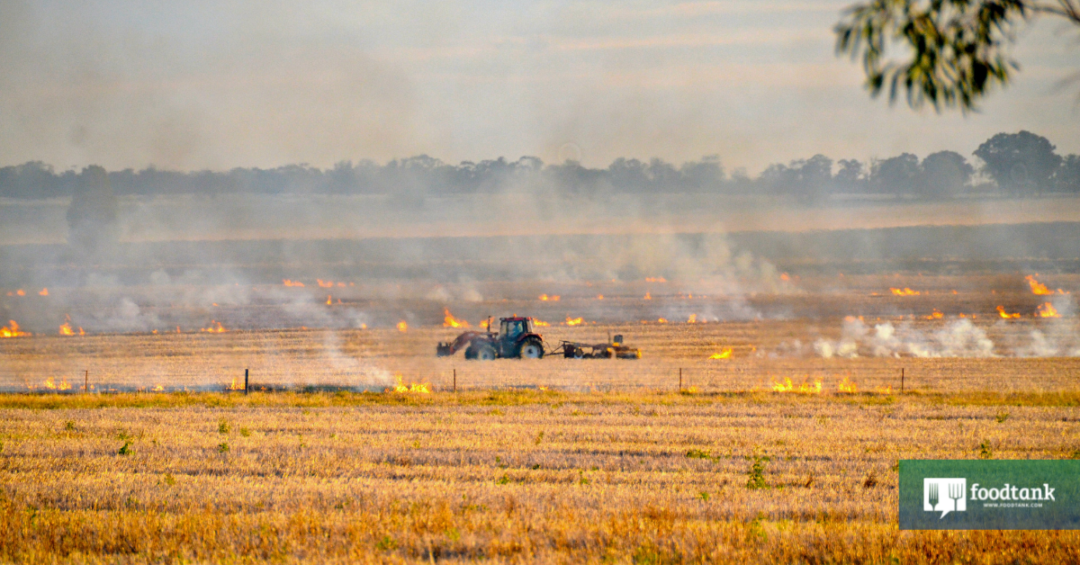 IPCC Synthesis Report: A Final Alarm For Climate, A Final Alarm For Food Systems – Food Tank
