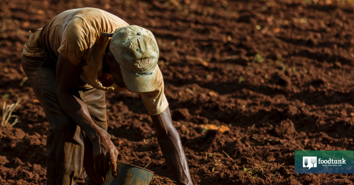 2023 Food Sovereignty Prize Recipients Center on Community Organizing – Food Tank