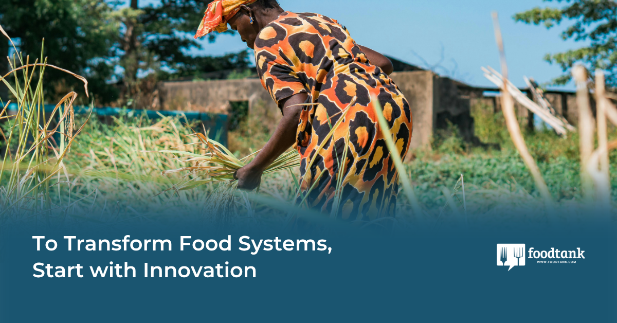 Op-Ed | To Transform Food Systems, Start with Innovation – Food Tank