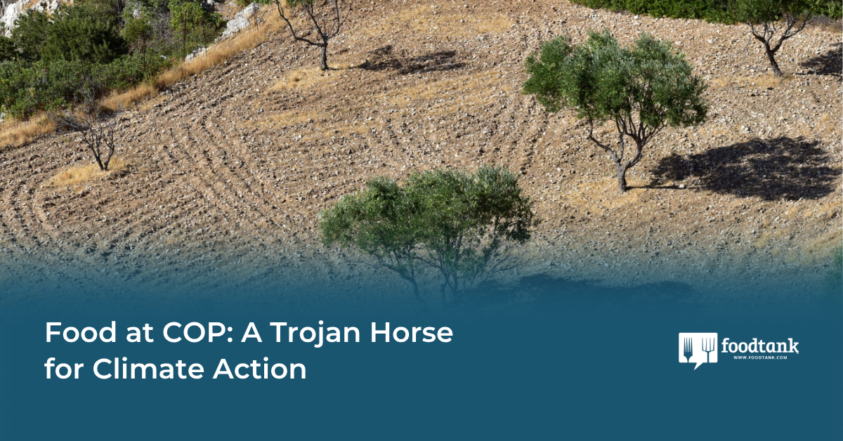 Op-Ed | Food at COP: A Trojan Horse for Climate Action – Food Tank