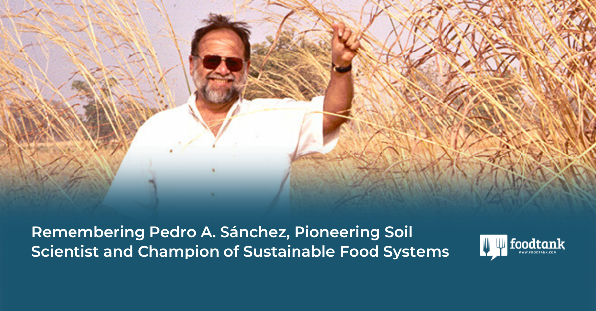 Remembering Pedro A. Sánchez, Pioneering Soil Scientist and Champion of Sustainable Food Systems – Food Tank