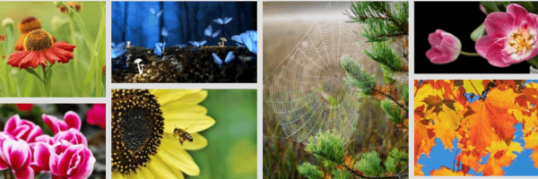 How To Make An Online Portfolio In 5 Easy Steps - FooPlugins