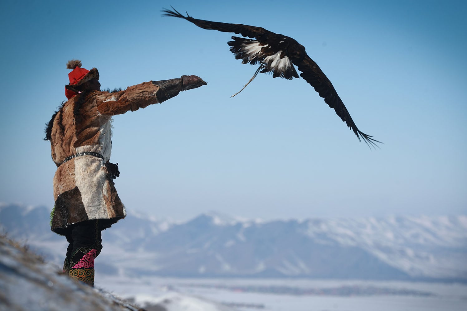 Indigenous Bird Knowledge Aids Modern Conservation