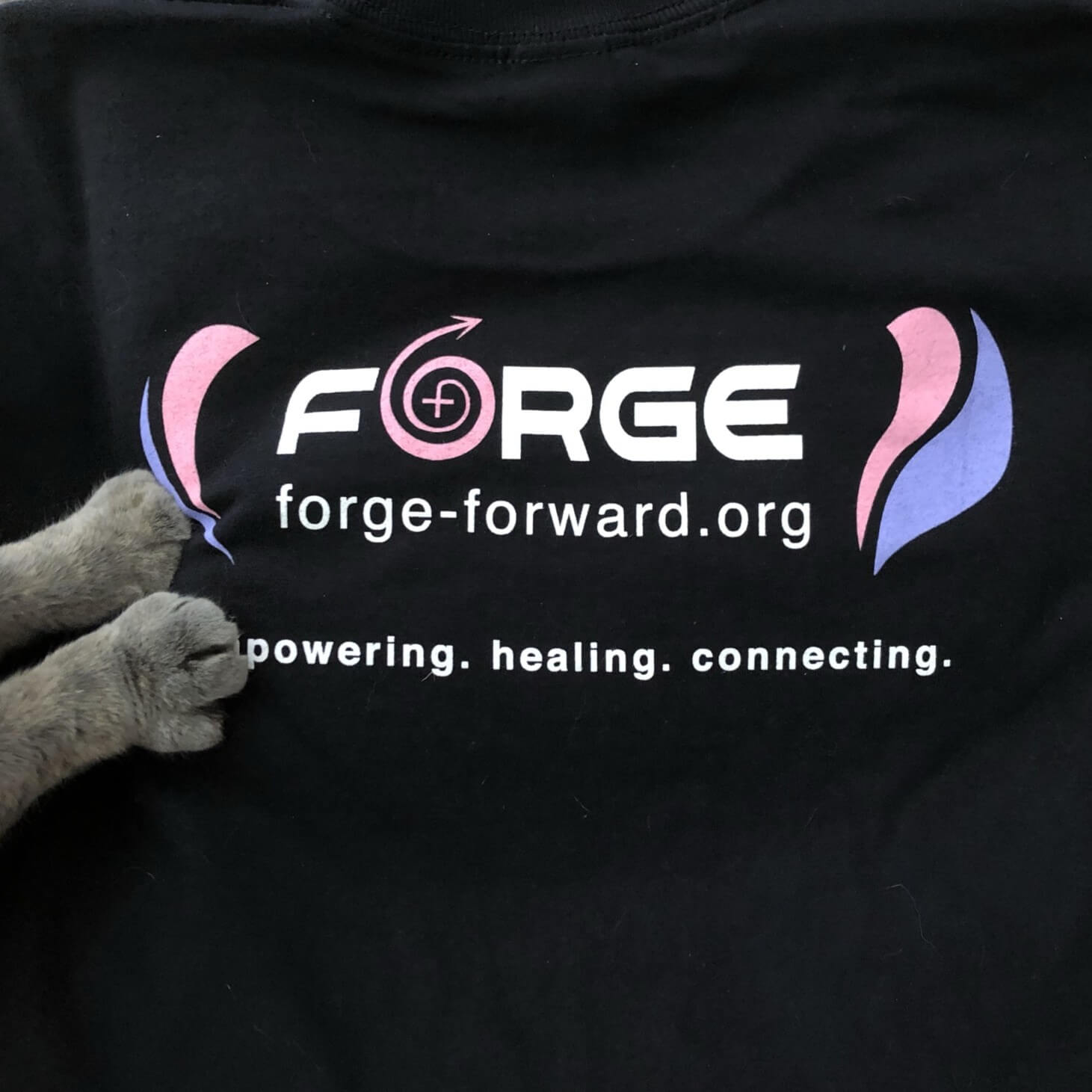 Our Communities Matter. The impact of funding terminations. - FORGE