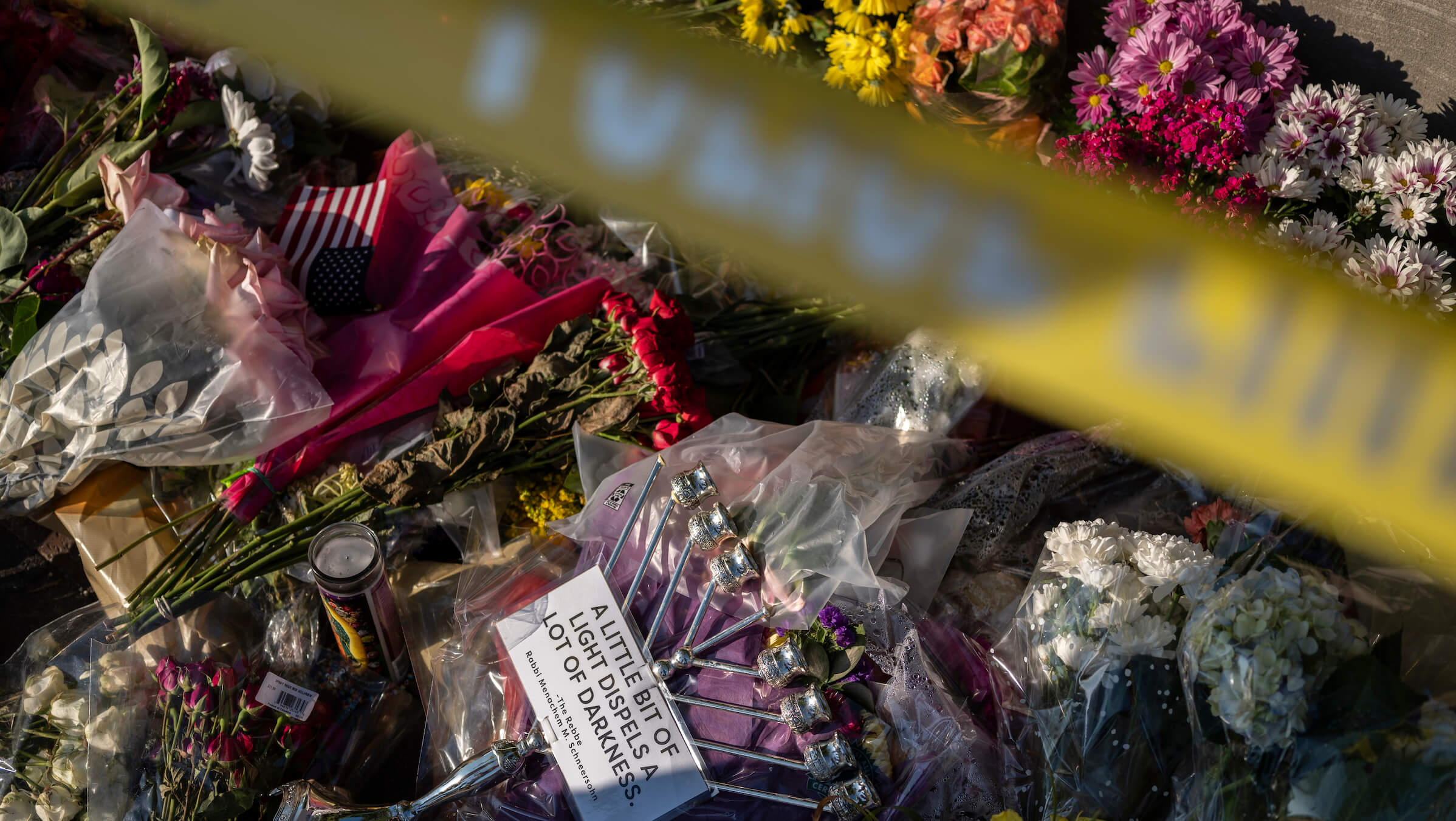 Opinion | Why we can't say July Fourth shooter was extremist – The Forward