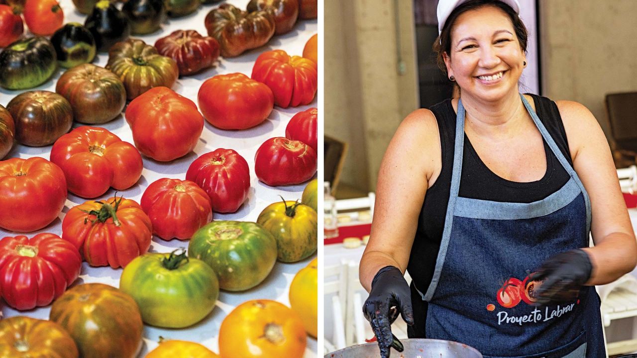 Buscan que el tomate vuelva a tener su sabor original | Noticias
