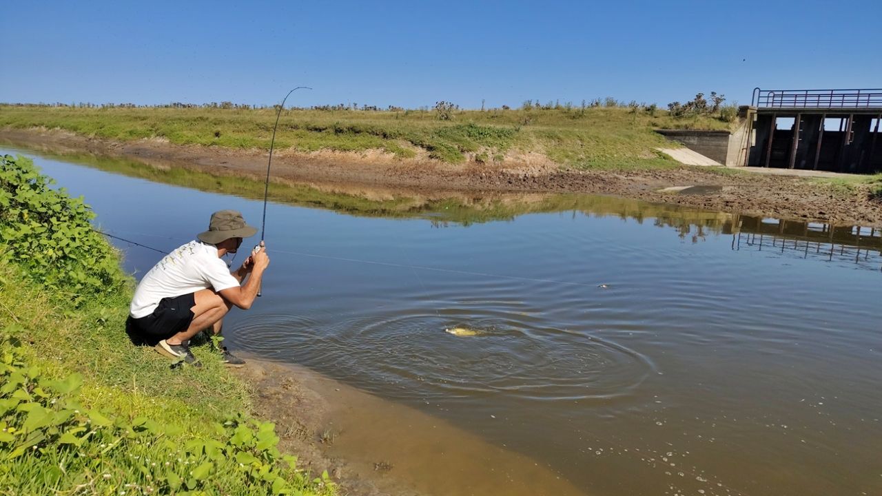 Licencia de pesca: paso a paso cómo tramitar el permiso en cada provincia | Weekend