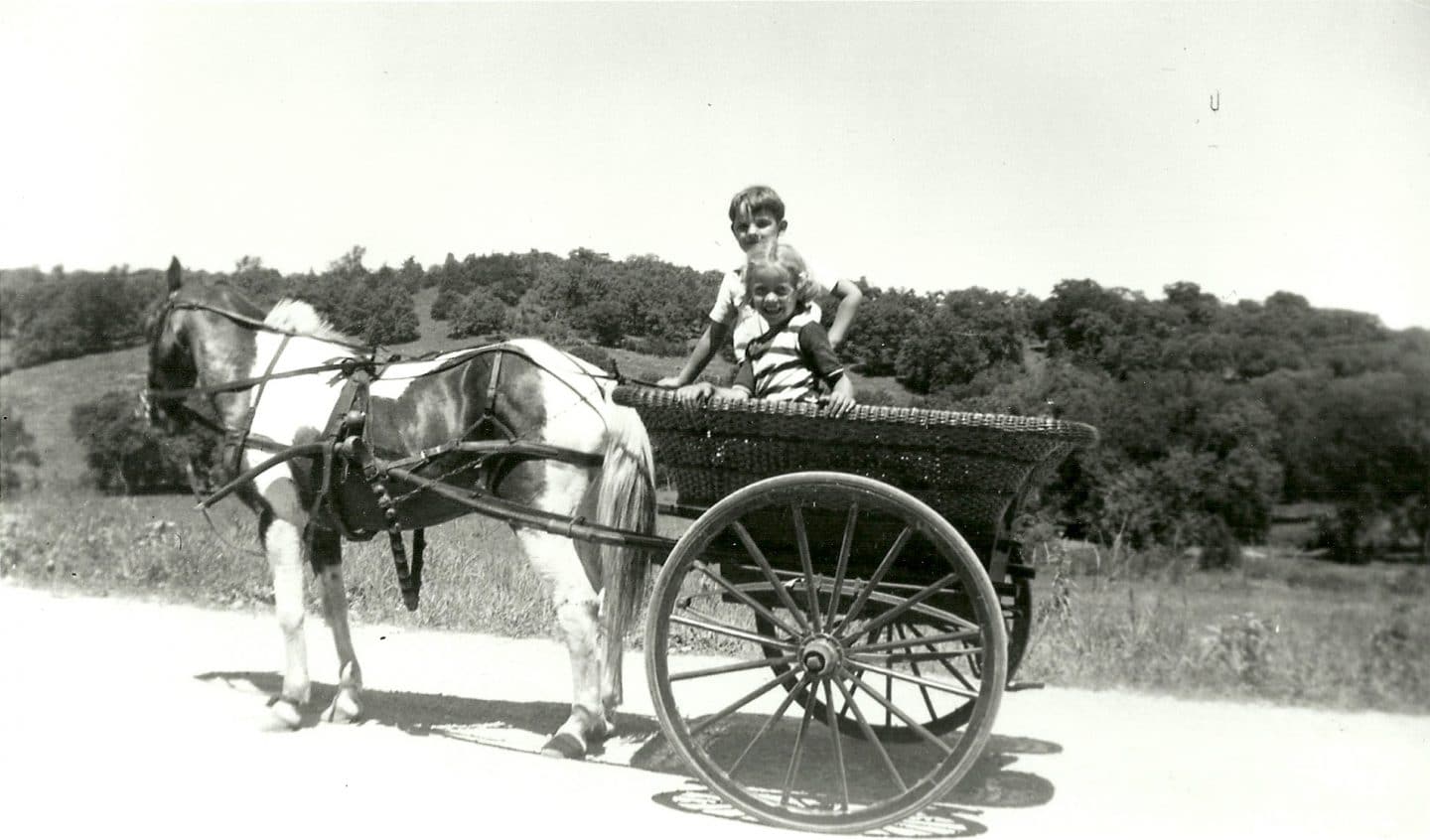 Solving the Mystery of the Carriages that Remain at Taliesin: The Puzzle and the Denouement - Frank Lloyd Wright Foundation
