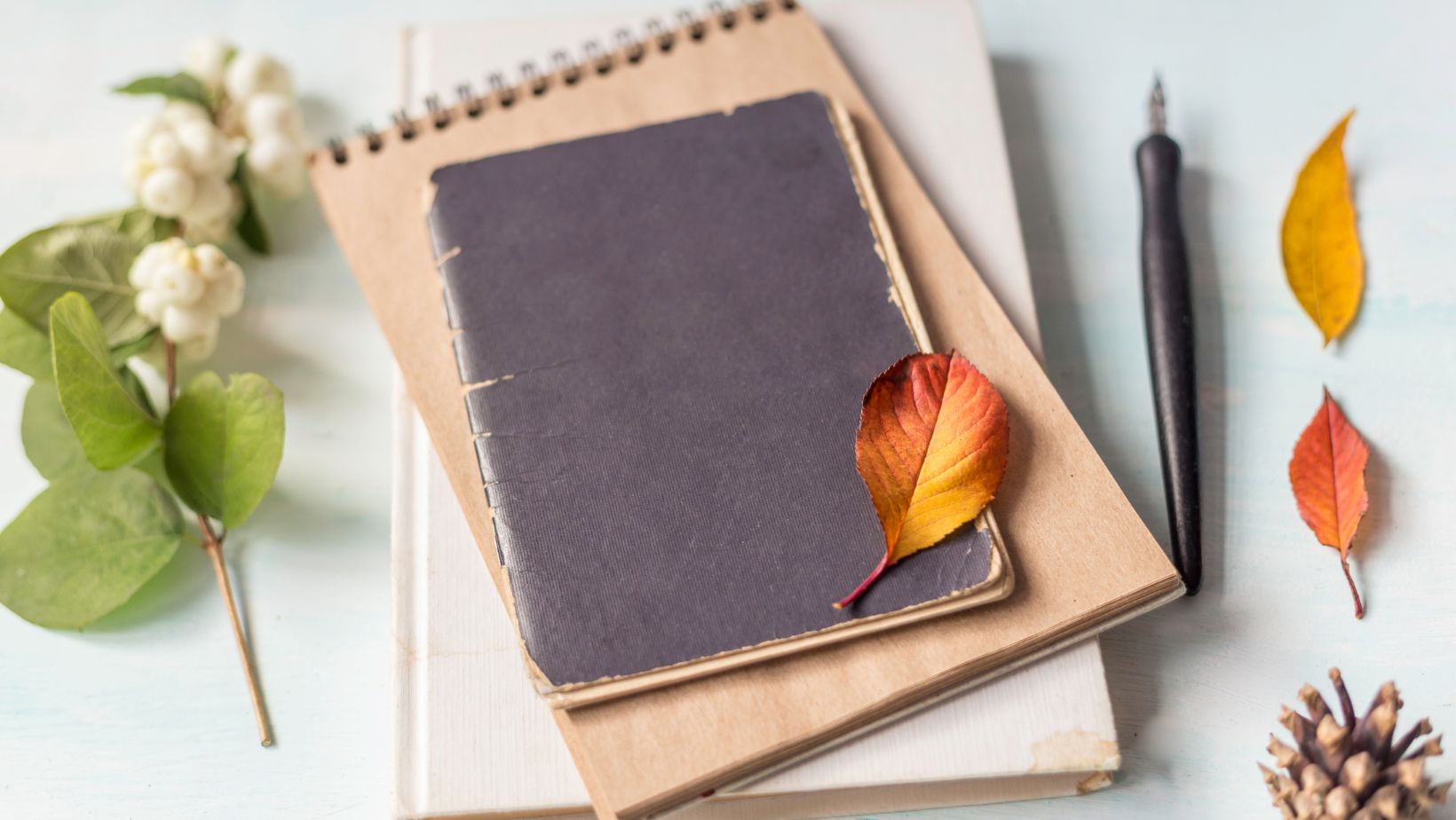 A Guide to Effective Logo Design | Everything You Need To Know