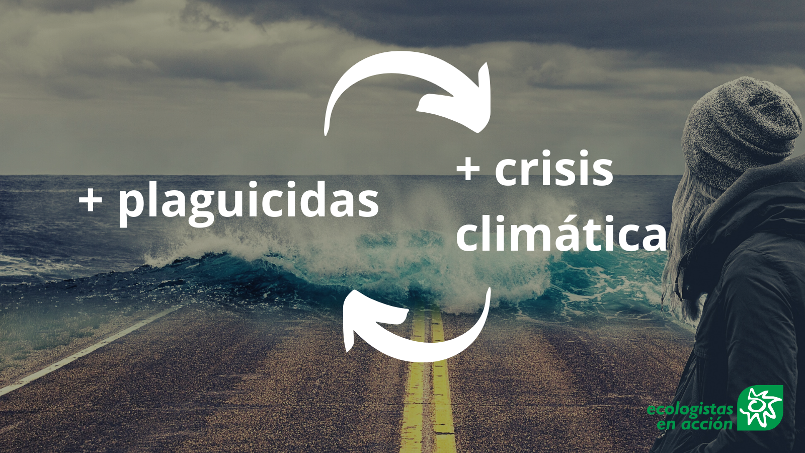 Plaguicidas y cambio climático: un círculo vicioso