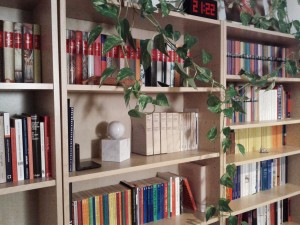 Mein wachsendes Unbehagen an den Dingen | fxneumann